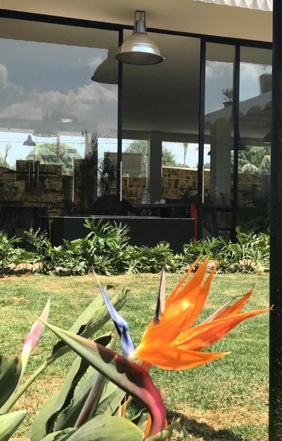 Calido Cosmos Hotel Cholula Zewnętrze zdjęcie